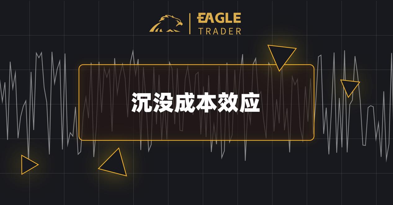 ��������龰����